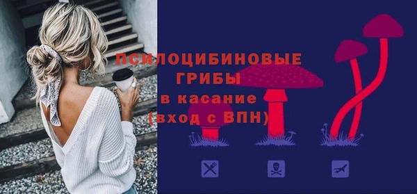 PSILOCYBIN Верхний Тагил