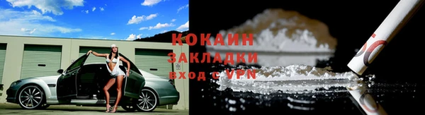 PSILOCYBIN Верхний Тагил