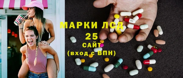 PSILOCYBIN Верхний Тагил