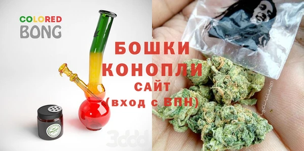 индика Зеленокумск
