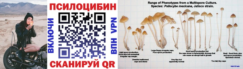 Галлюциногенные грибы ЛСД  купить закладку  мега маркетплейс  Славянск-на-Кубани 